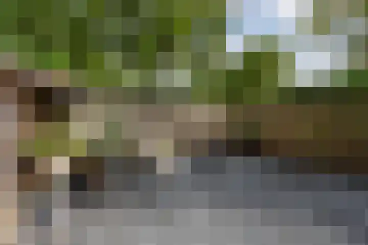 Koggewagen 2 Blaricum thumbnail 18