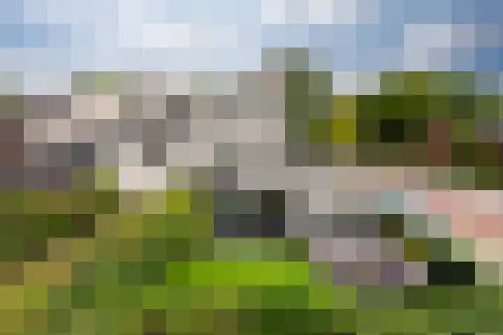 Koggewagen 2 Blaricum thumbnail 21