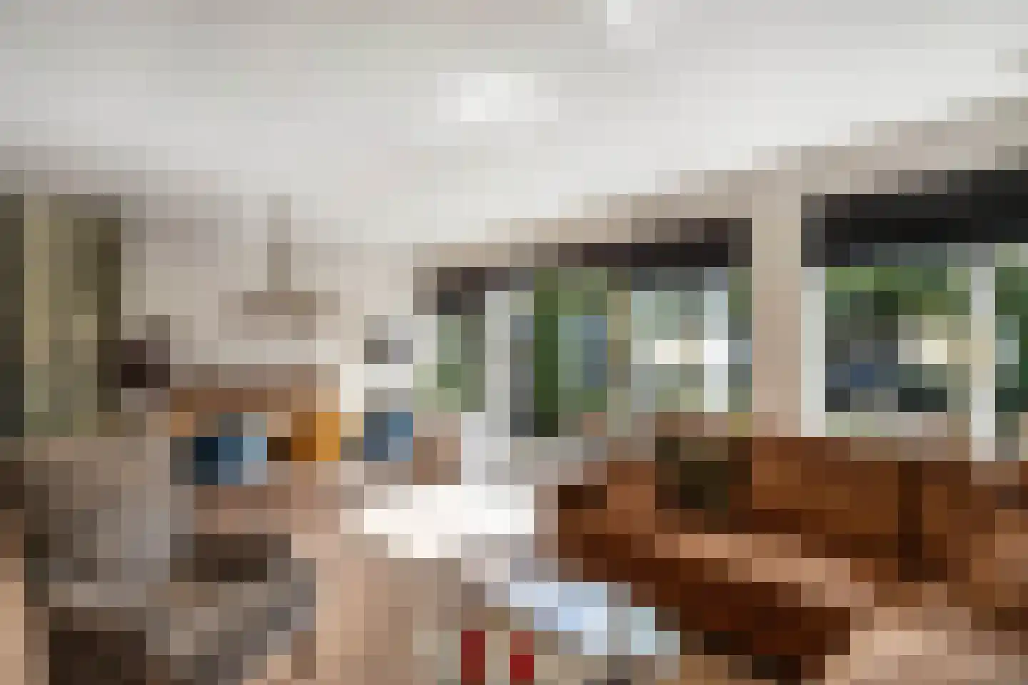 Koggewagen 21 Blaricum thumbnail 10