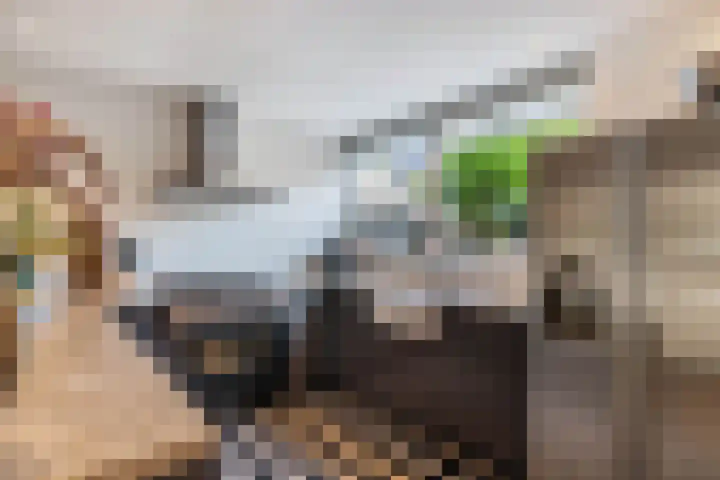 Koggewagen 21 Blaricum thumbnail 18