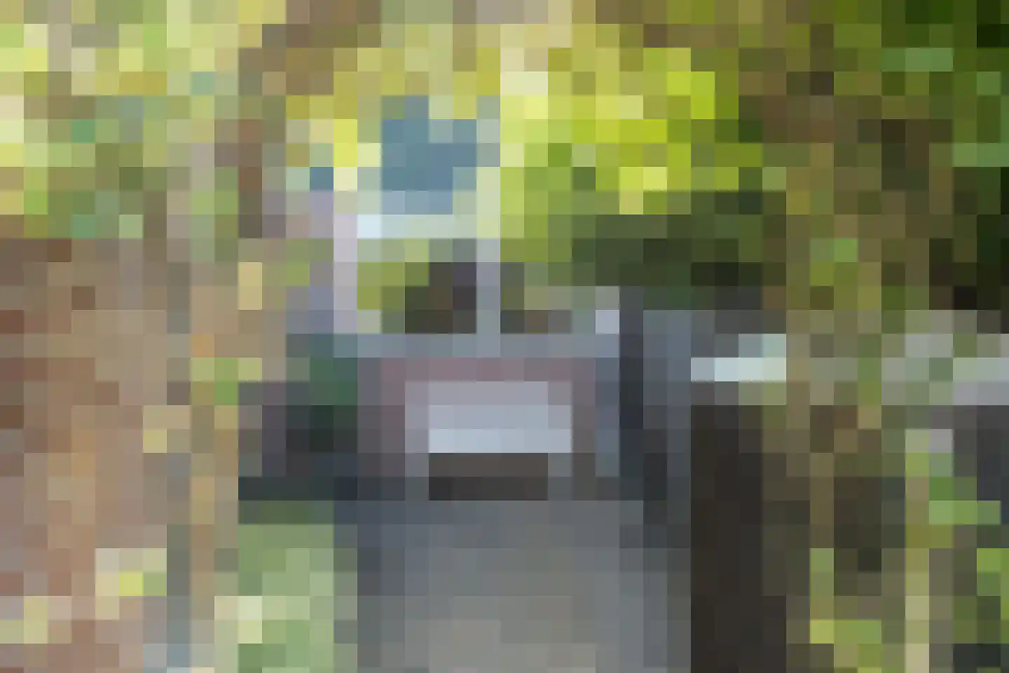 Koggewagen 21 Blaricum thumbnail 5