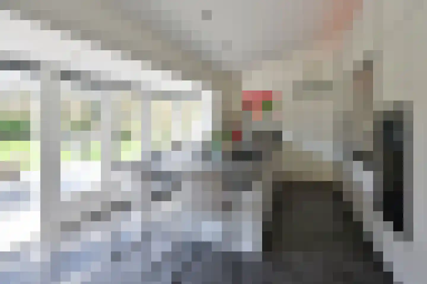 Koggewagen 50 Blaricum thumbnail 11