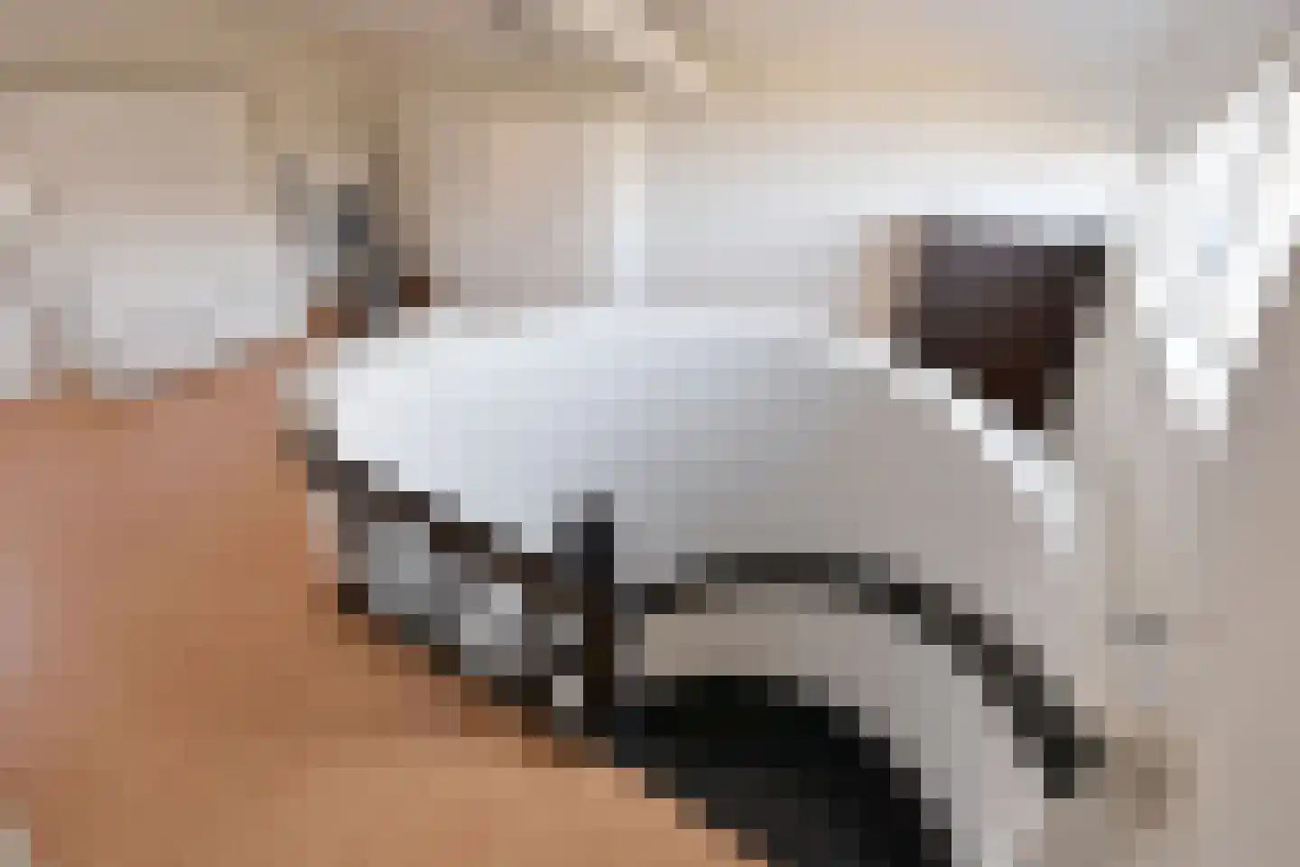 Koggewagen 50 Blaricum thumbnail 17