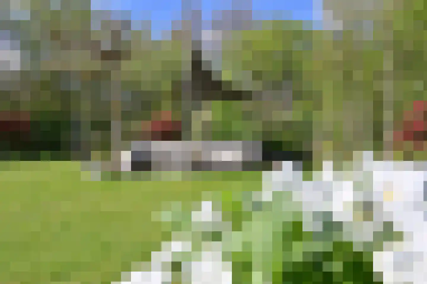 Koggewagen 50 Blaricum thumbnail 33