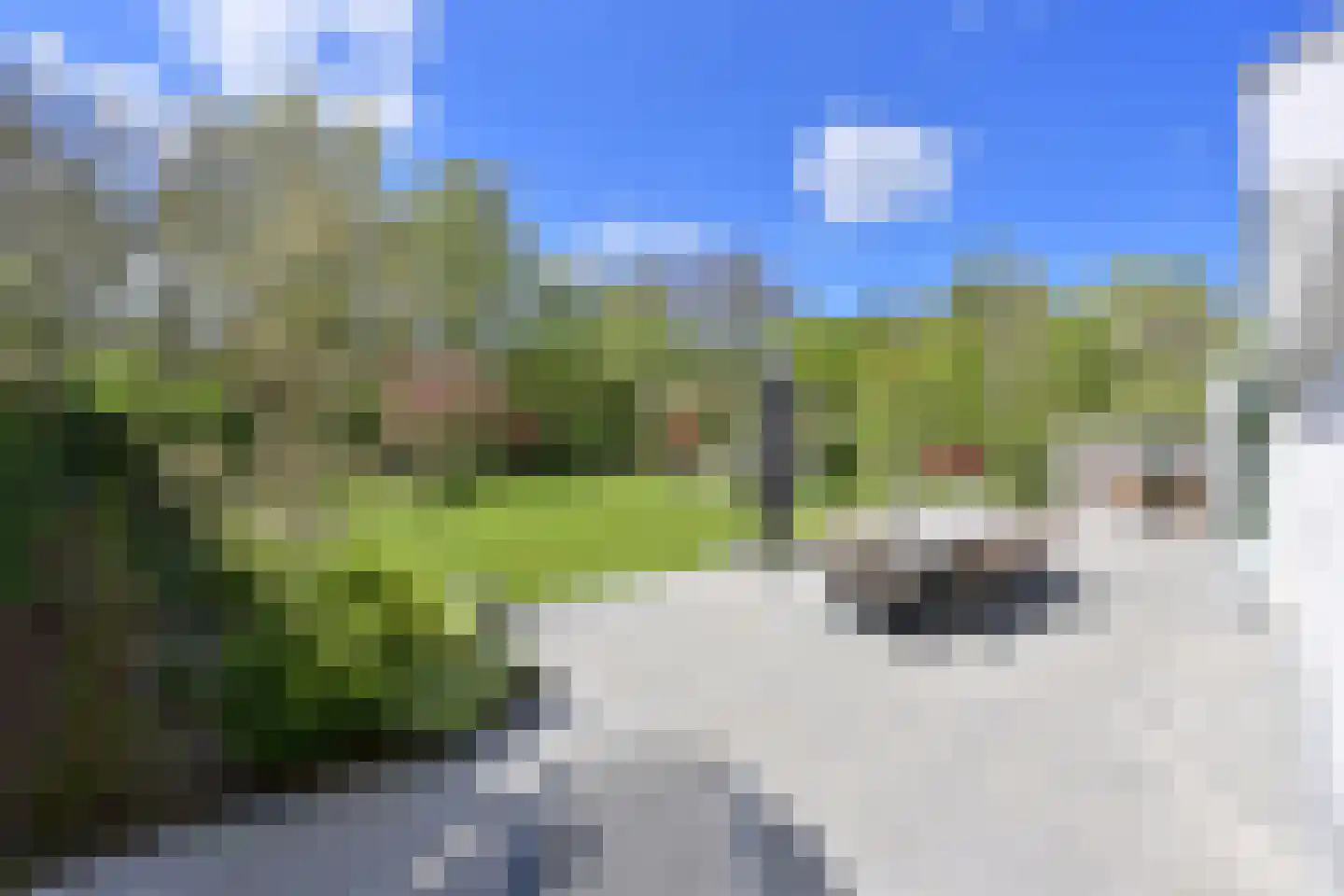 Koggewagen 50 Blaricum thumbnail 37