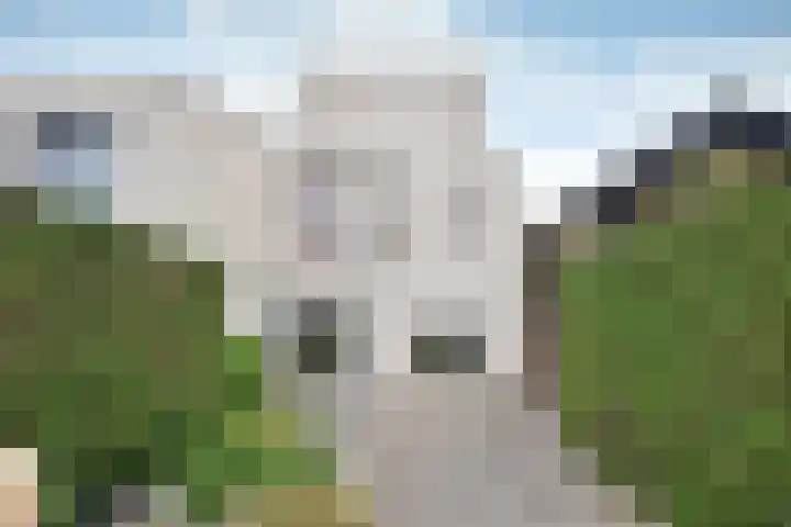 Koggewagen 53 Blaricum thumbnail 6