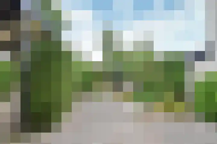 Koggewagen 53 Blaricum thumbnail 7
