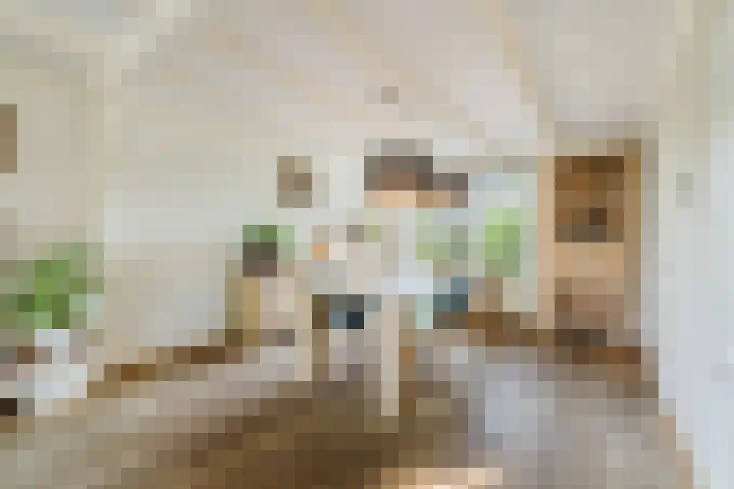 Kogveld 3 Klein Zundert thumbnail 14