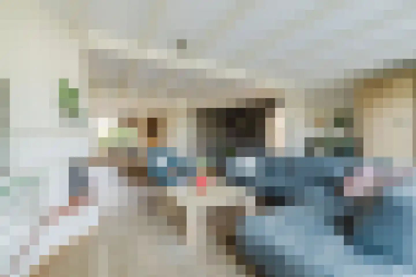 Kogveld 3 Klein Zundert thumbnail 20
