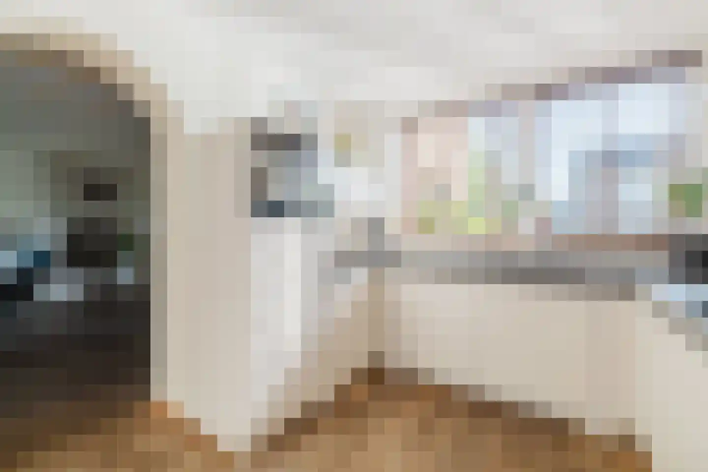 Kogveld 3 Klein Zundert thumbnail 21