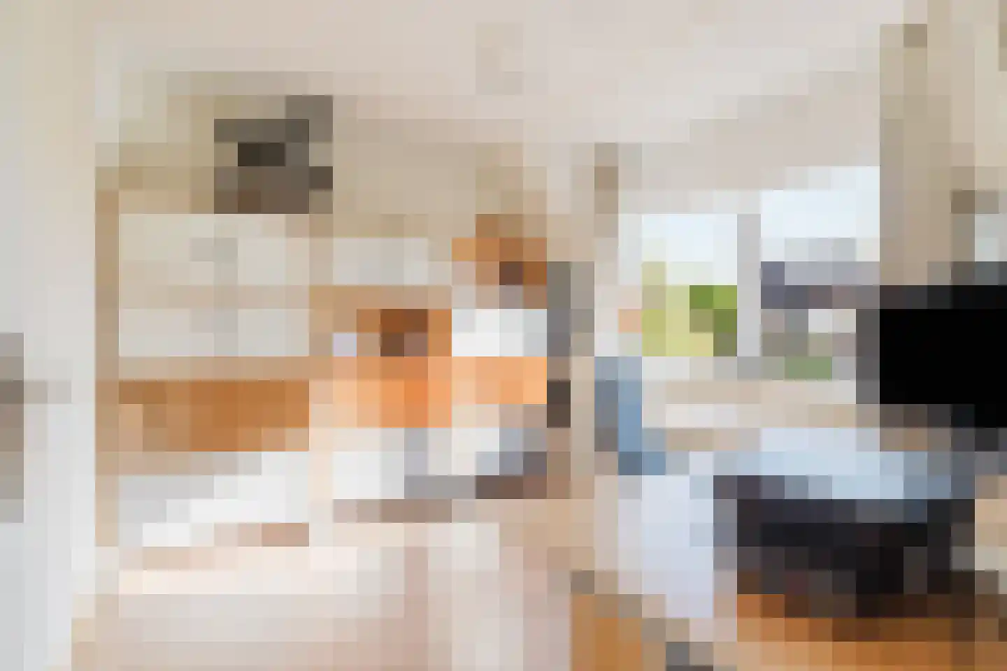 Kogveld 3 Klein Zundert thumbnail 31