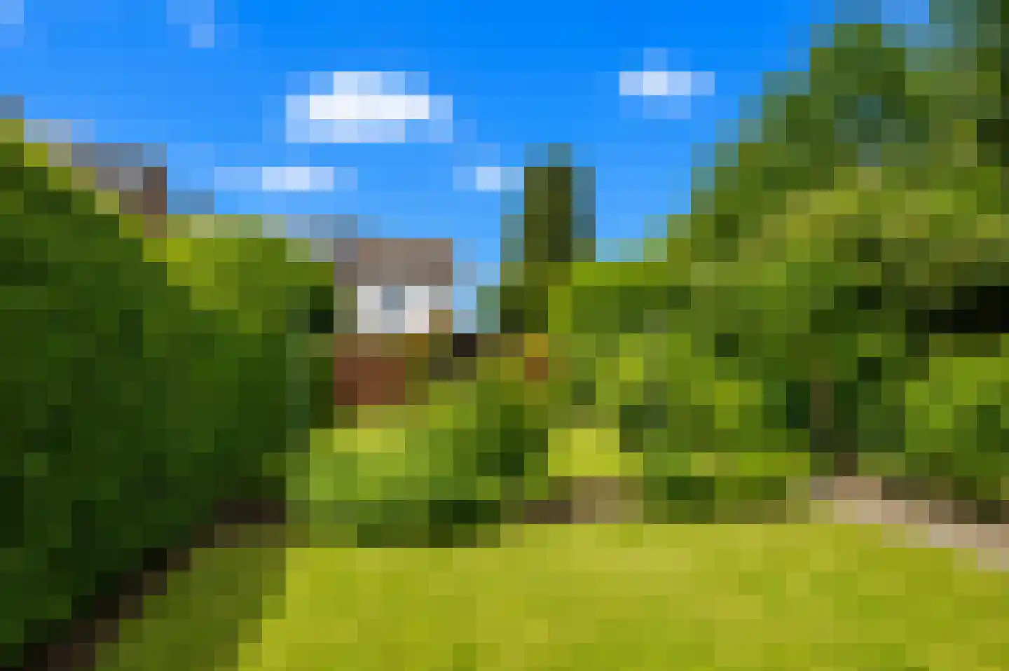 Kohlbergsgracht 16 Kerkrade thumbnail 23