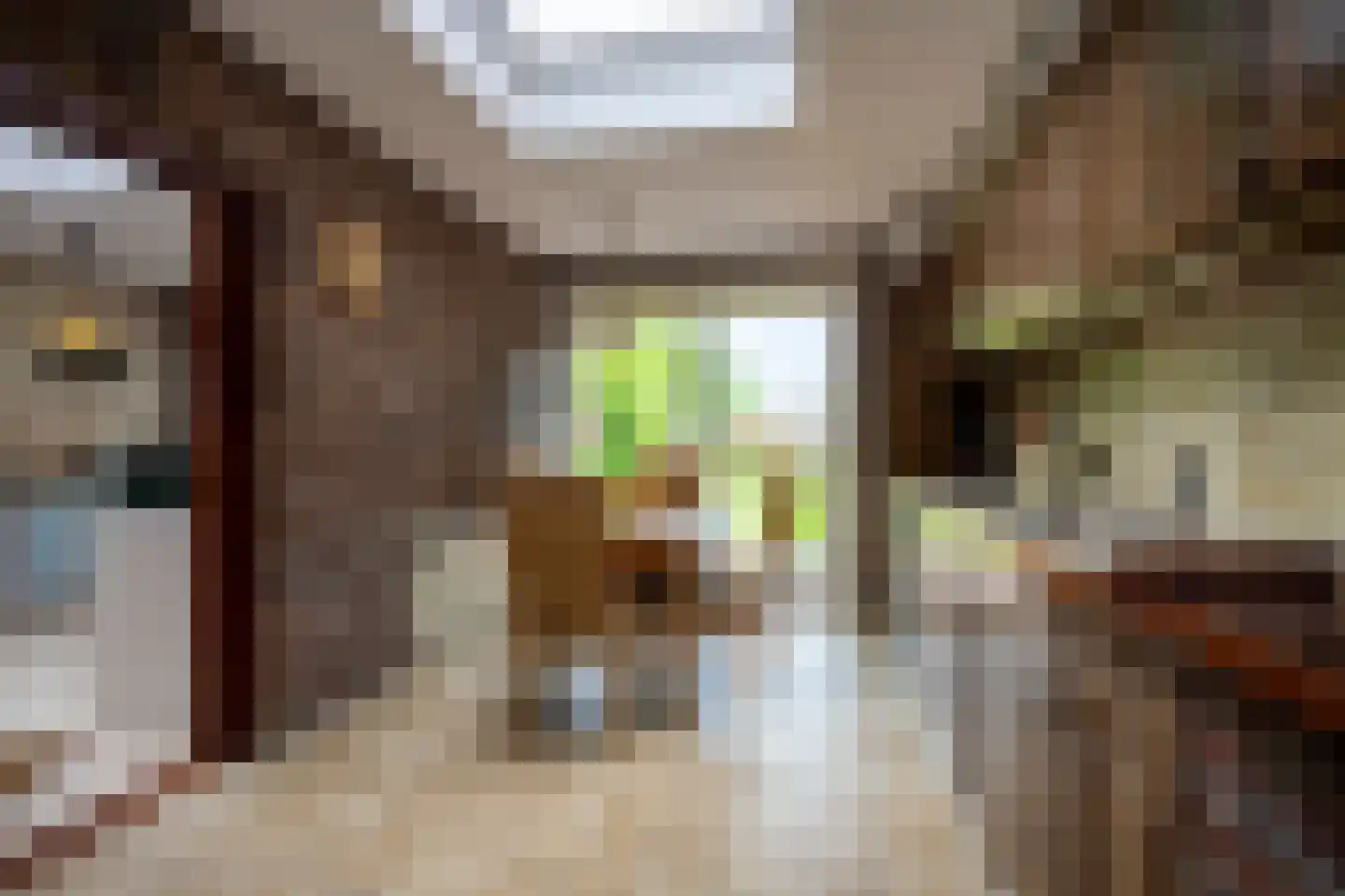 Kohlbergsgracht 16 Kerkrade thumbnail 7