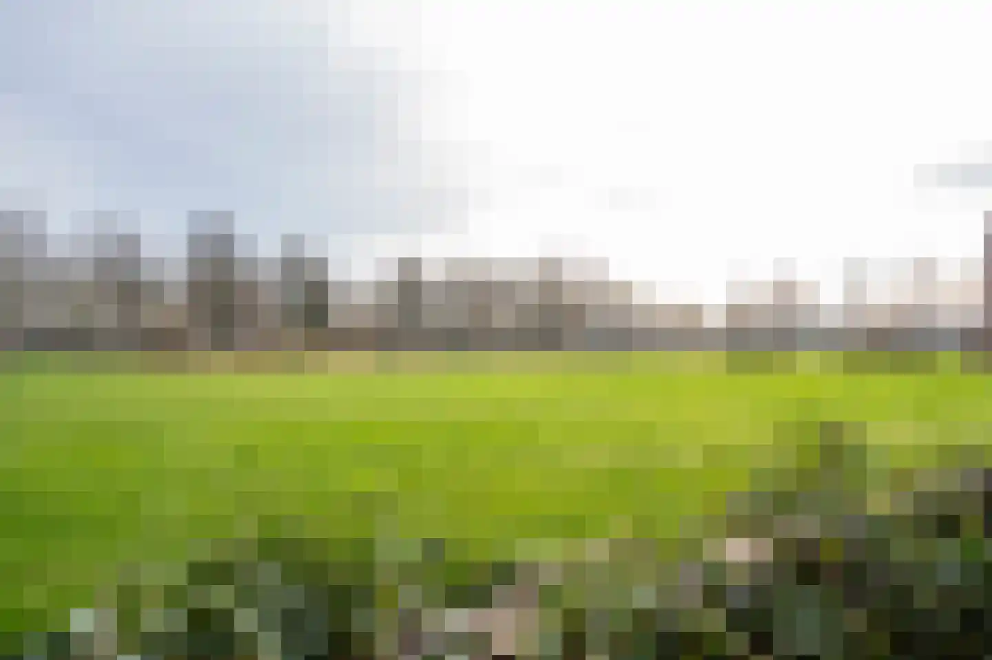 Kokardebloem 25 Papendrecht thumbnail 11