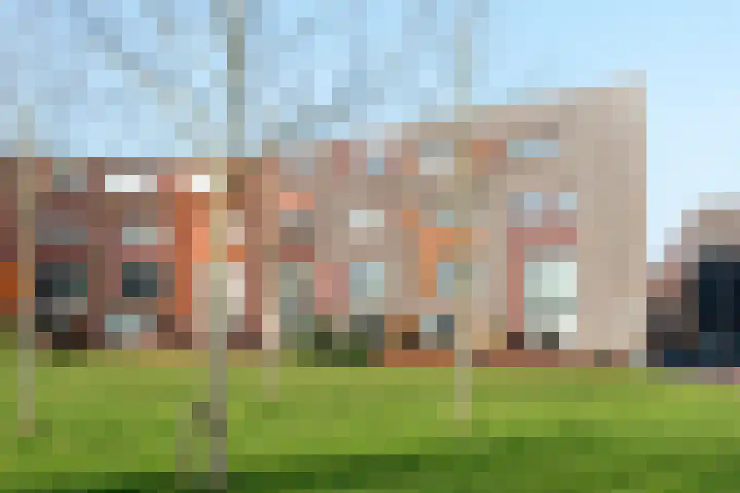 Kokardebloem 25 Papendrecht thumbnail 12
