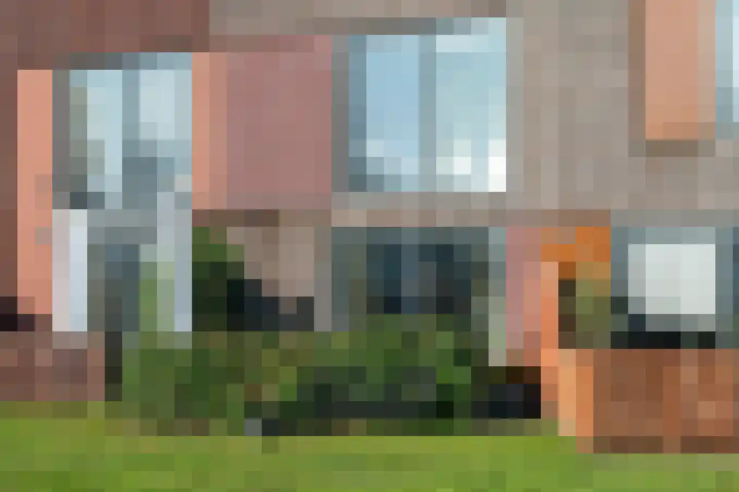 Kokardebloem 25 Papendrecht thumbnail 13