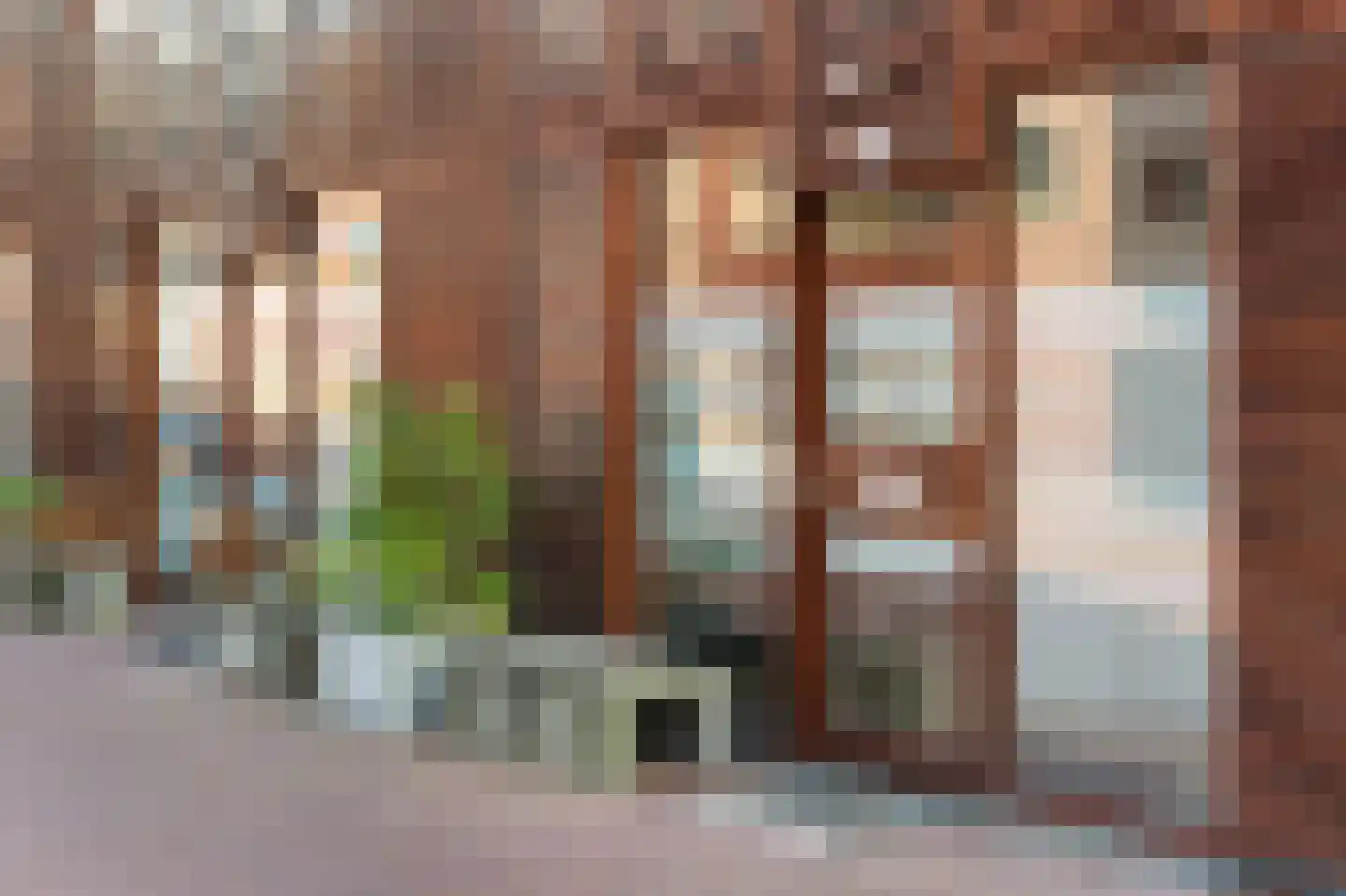 Kokardebloem 25 Papendrecht thumbnail 4