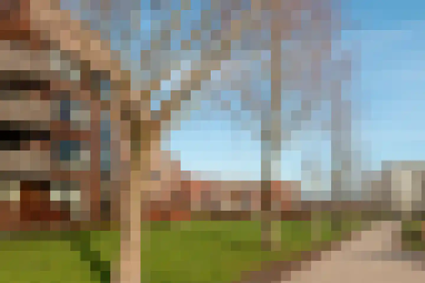 Kokardebloem 25 Papendrecht thumbnail 40