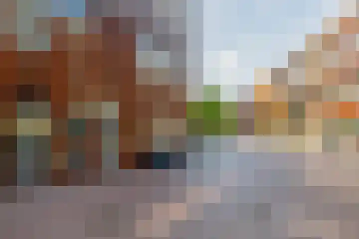 Kokardebloem 27 Papendrecht thumbnail 10