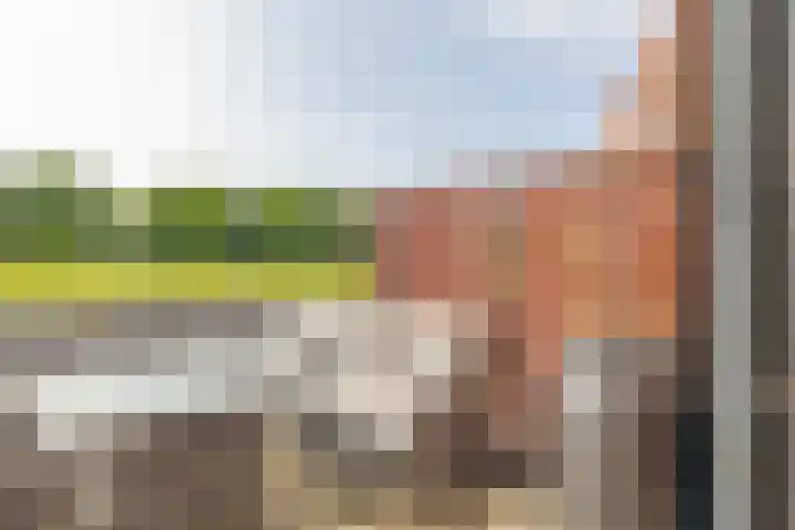 Kokardebloem 27 Papendrecht thumbnail 26