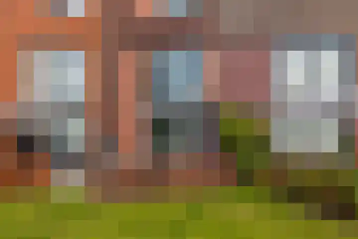 Kokardebloem 27 Papendrecht thumbnail 31