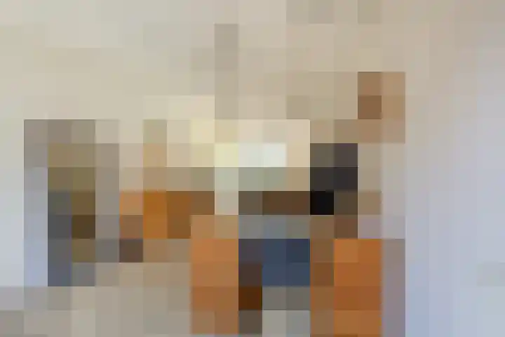 Kokardebloem 27 Papendrecht thumbnail 41