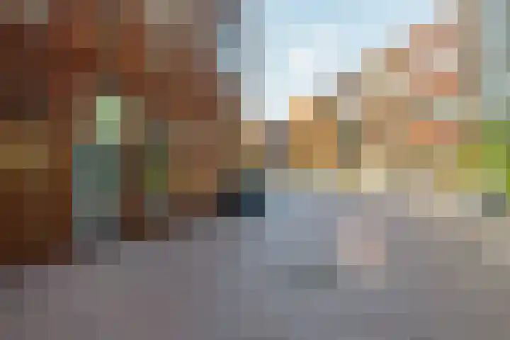 Kokardebloem 27 Papendrecht thumbnail 5