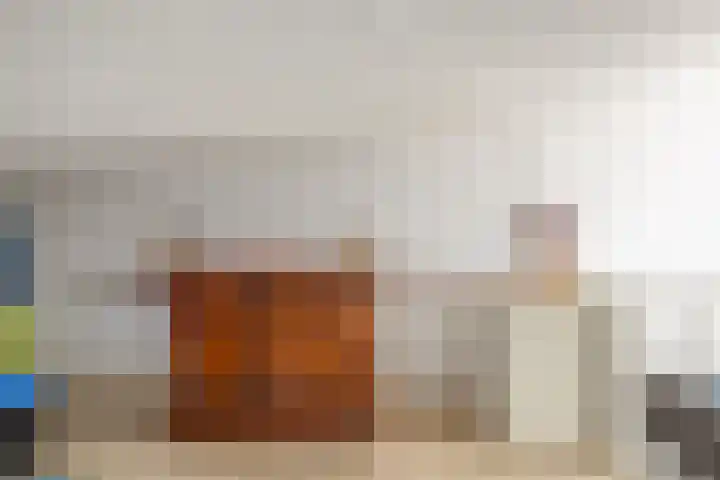 Kokardebloem 27 Papendrecht thumbnail 63