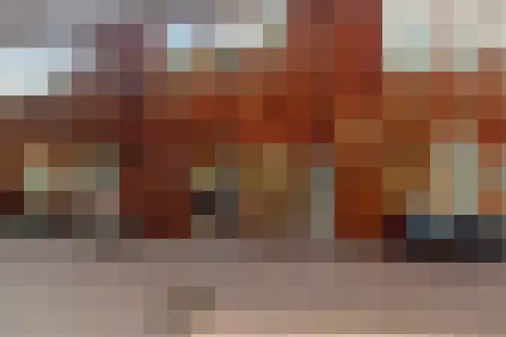 Kokardebloem 27 Papendrecht thumbnail 7