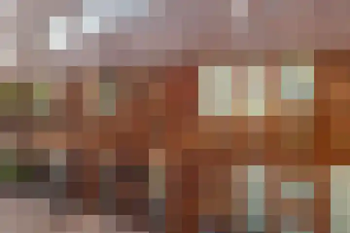 Kokardebloem 27 Papendrecht thumbnail 8