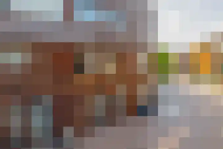 Kokardebloem 27 Papendrecht thumbnail 99