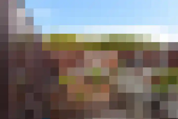 Kokardebloem 28 Papendrecht thumbnail 33