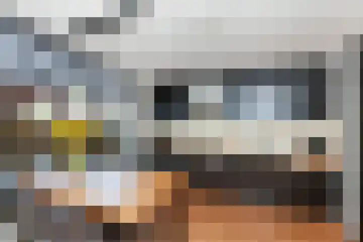 Kokardebloem 28 Papendrecht thumbnail 4