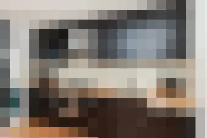 Kokardebloem 28 Papendrecht thumbnail 7