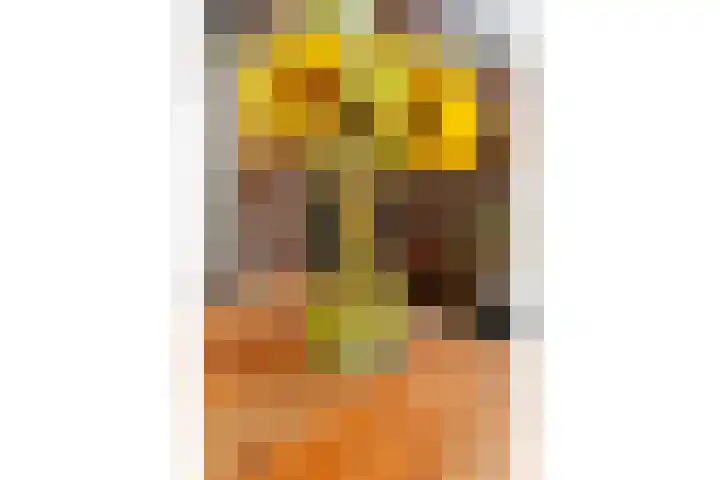 Kokardebloem 28 Papendrecht thumbnail 9