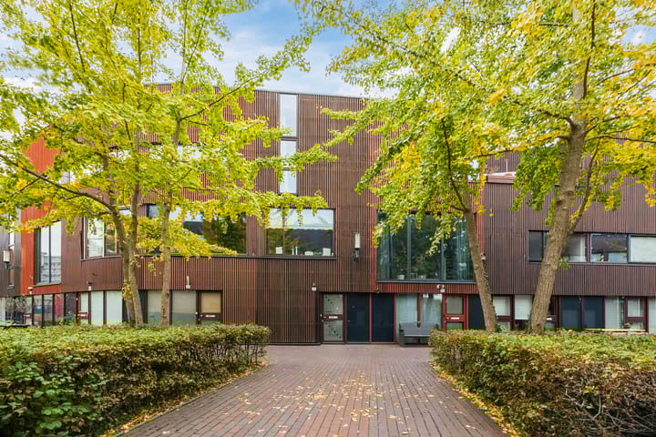 Kokardebloem 36 in Papendrecht Foto