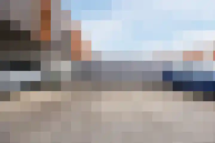 Kokardebloem 36 Papendrecht thumbnail 31