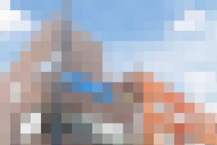 Kokardebloem 36 Papendrecht thumbnail 34