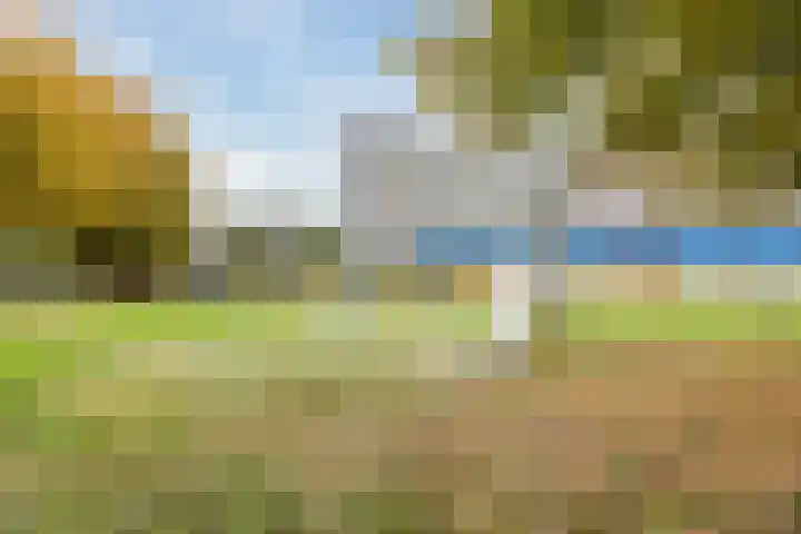 Kokardebloem 36 Papendrecht thumbnail 36