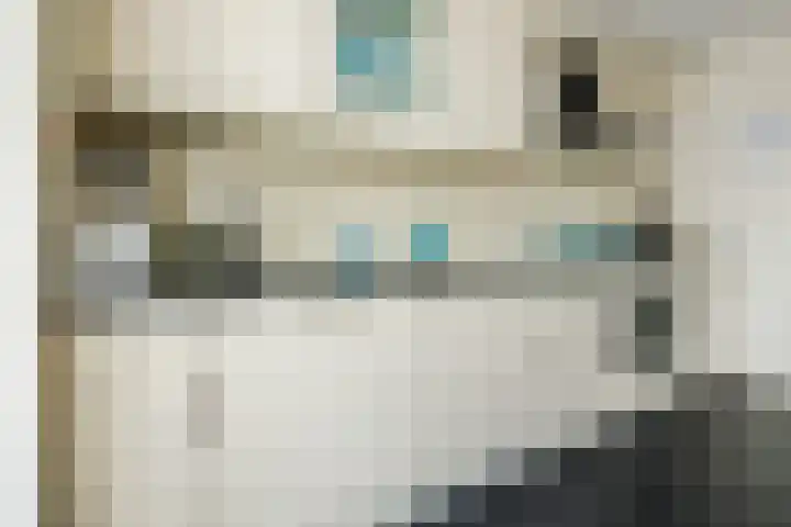 Kokardebloem 36 Papendrecht thumbnail 4