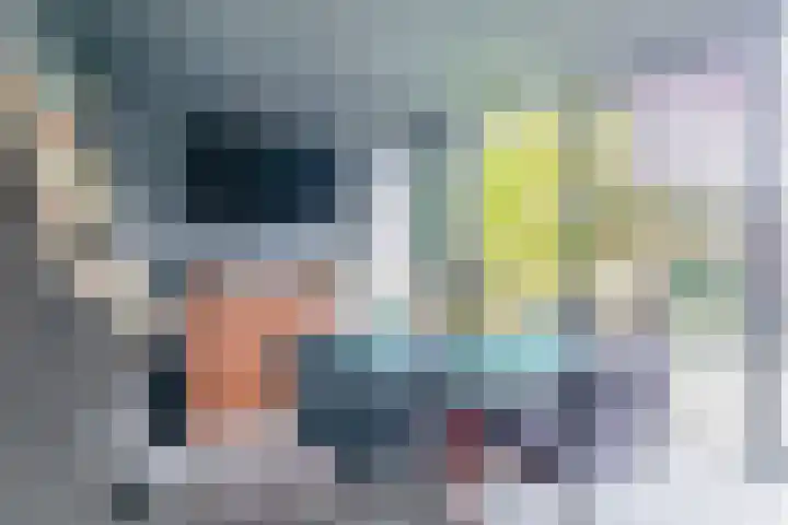 Kokardebloem 50 Papendrecht thumbnail 6