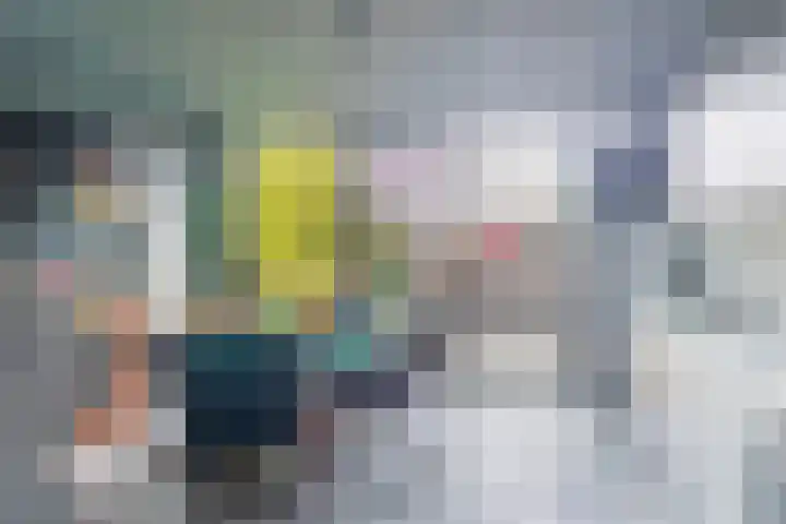 Kokardebloem 50 Papendrecht thumbnail 7