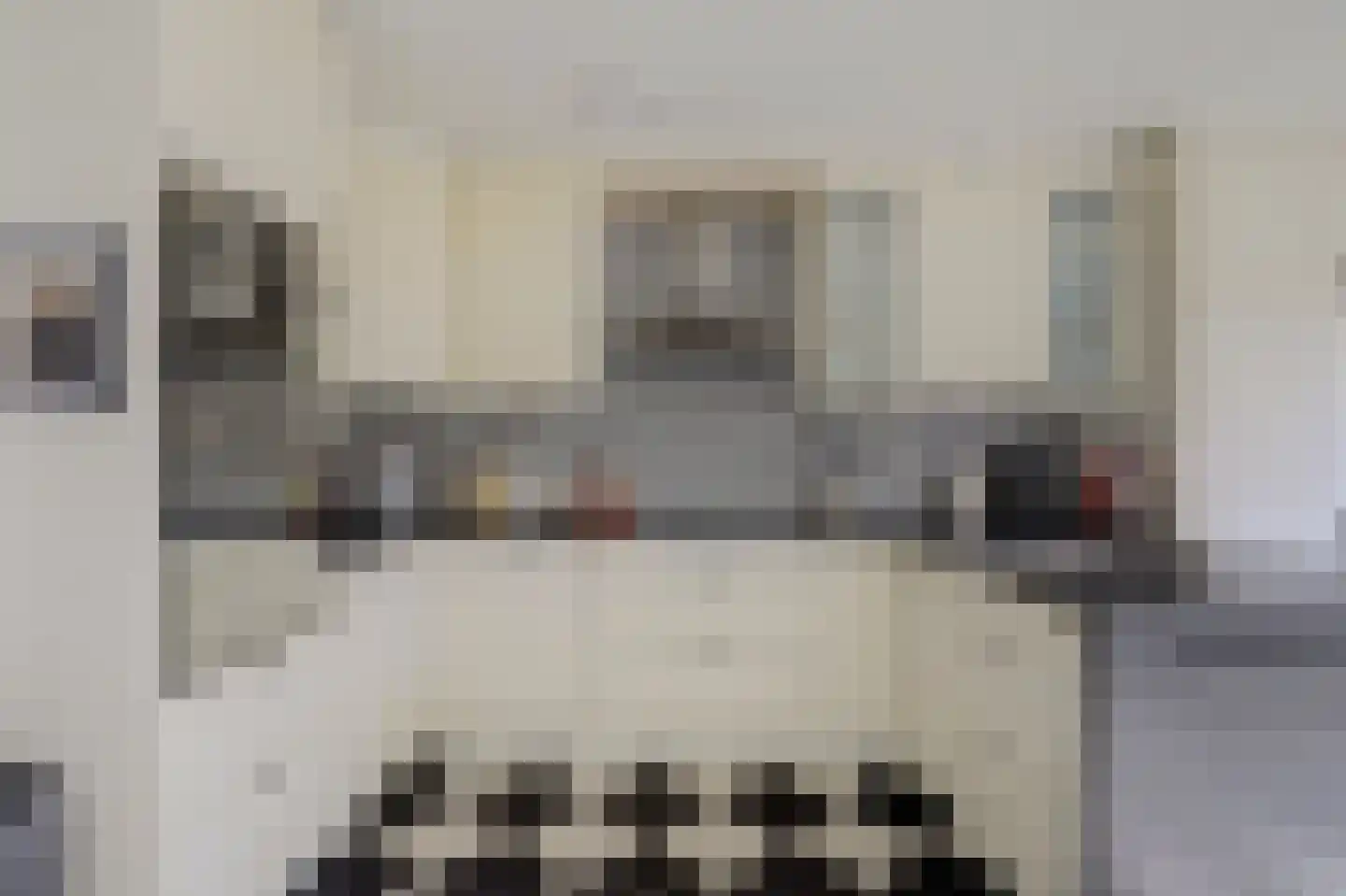 Kokardebloem 83 Papendrecht thumbnail 10