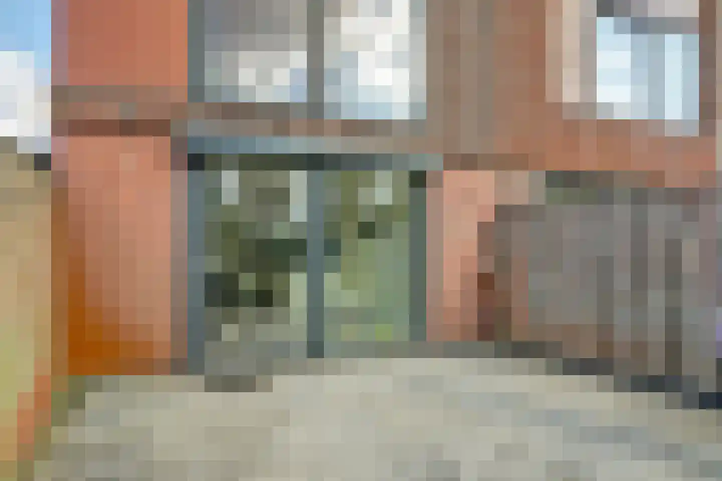 Kokardebloem 83 Papendrecht thumbnail 12