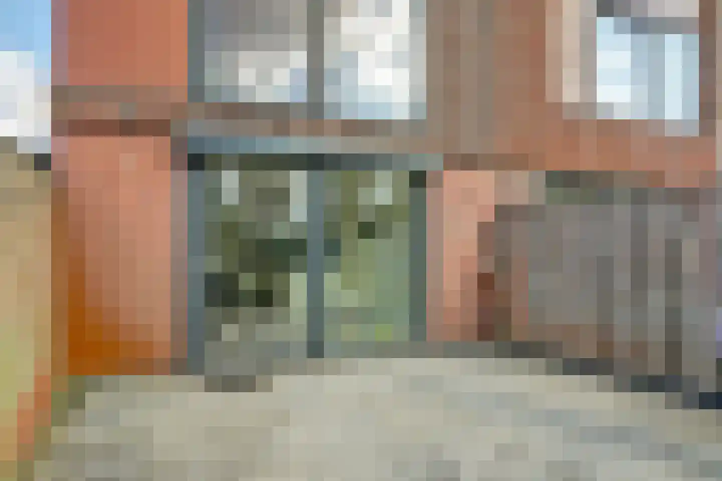 Kokardebloem 83 Papendrecht thumbnail 13