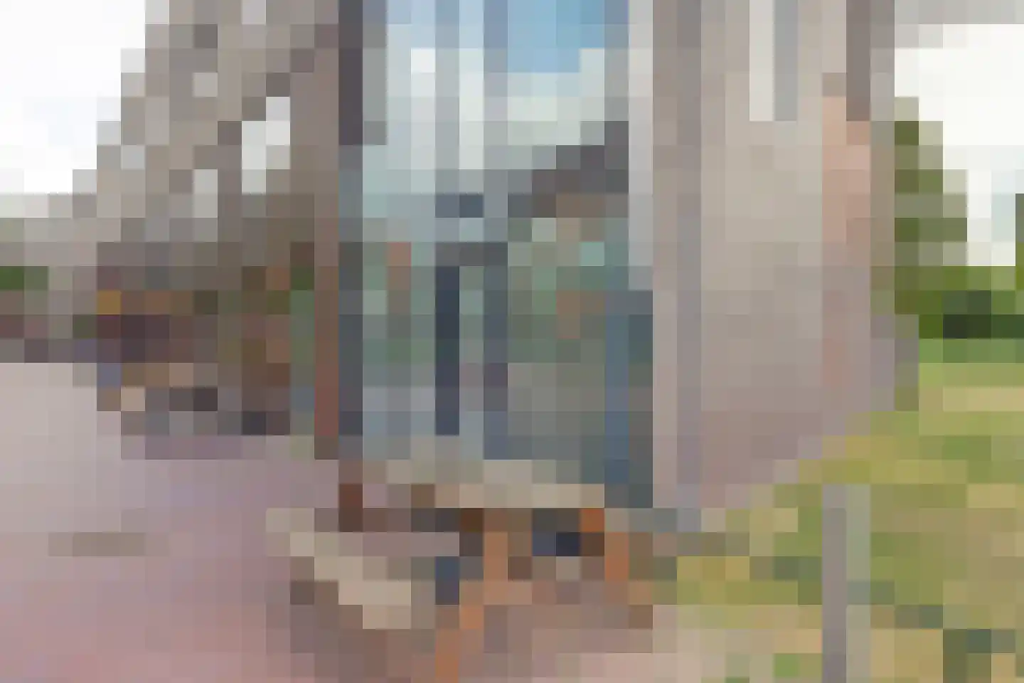 Kokardebloem 83 Papendrecht thumbnail 41