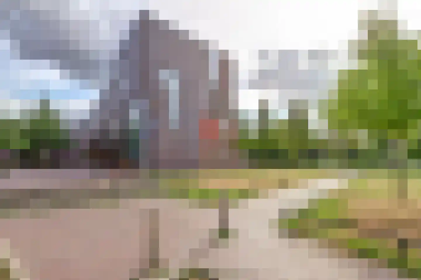 Kokardebloem 83 Papendrecht thumbnail 42