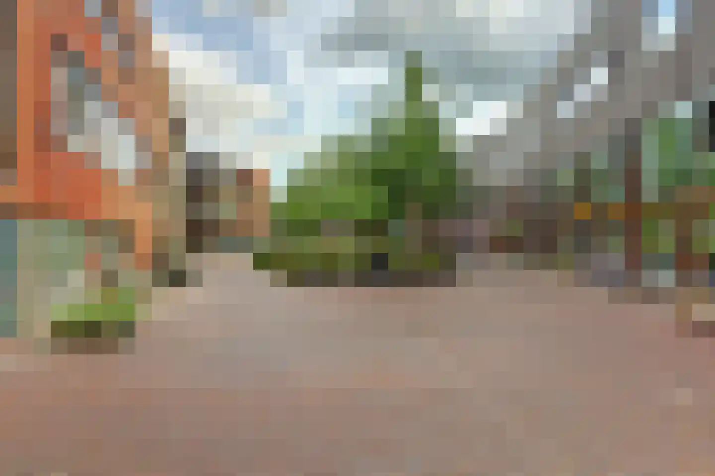 Kokardebloem 83 Papendrecht thumbnail 43
