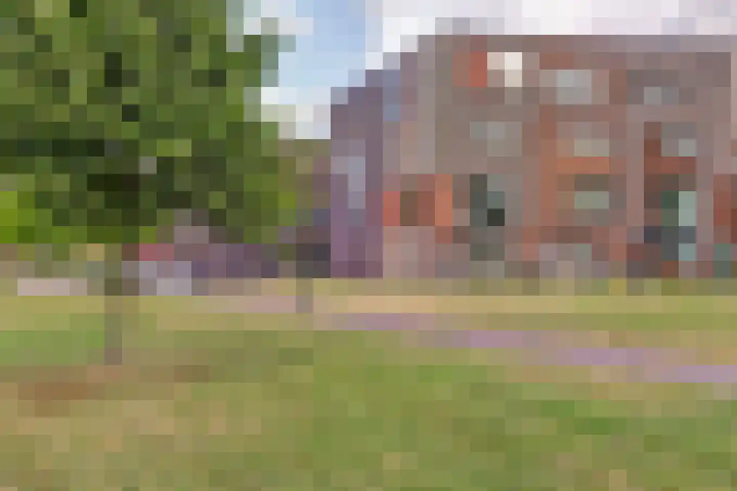 Kokardebloem 83 Papendrecht thumbnail 44