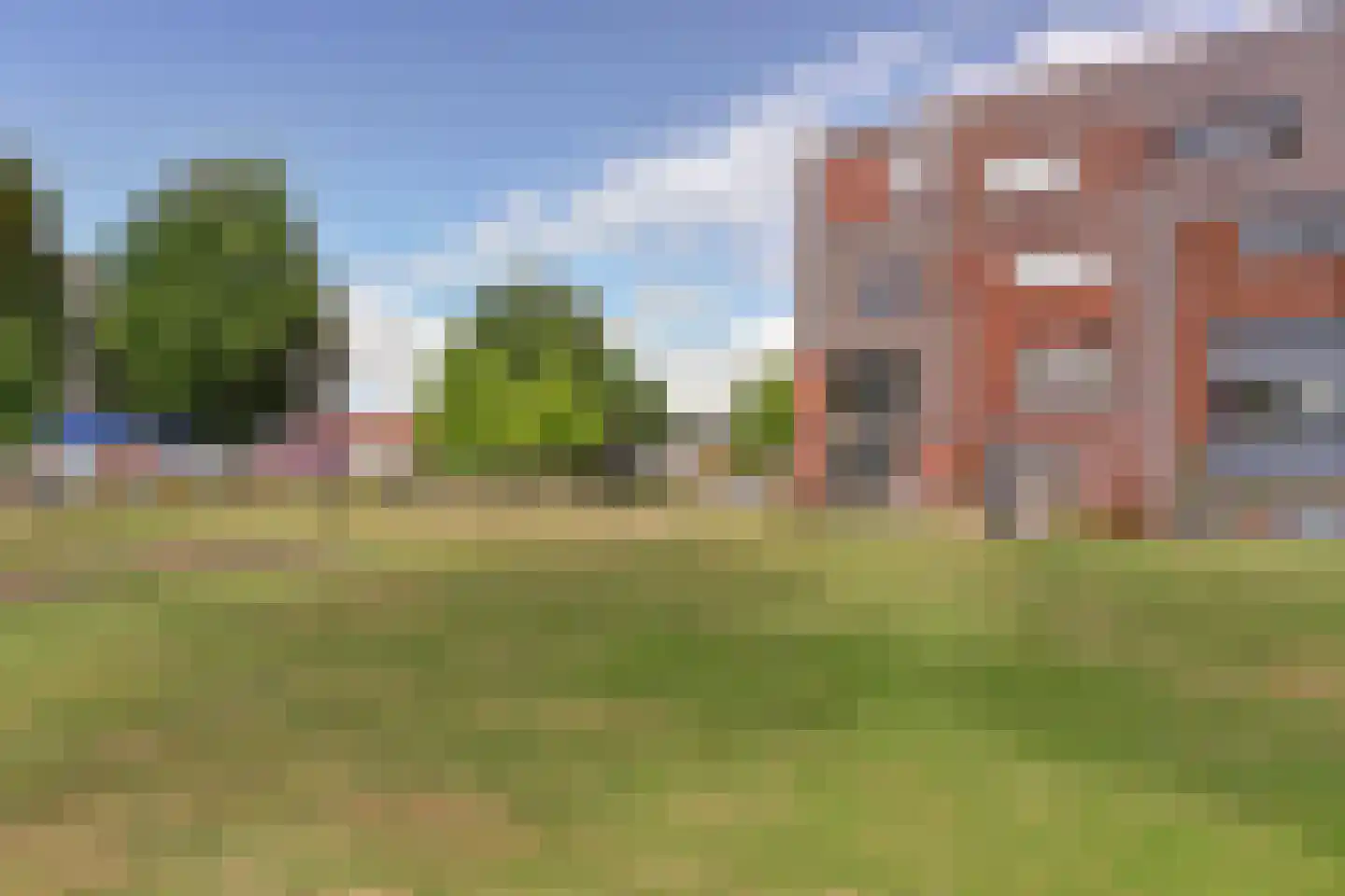 Kokardebloem 83 Papendrecht thumbnail 45